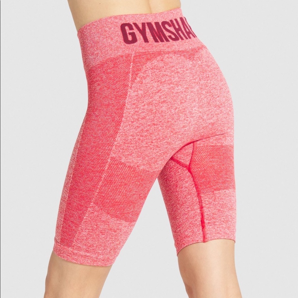 SOLD Flex Cycling Shorts - Picture 2 of 2